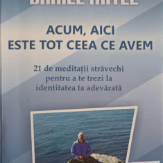 ACUM, AICI ESTE TOT CEEA CE AVEM. 21 DE MEDITATII STRAVECHI PENTRU A TE TREZI LA IDENTITATEA TA ADEVARATA-DANIEL