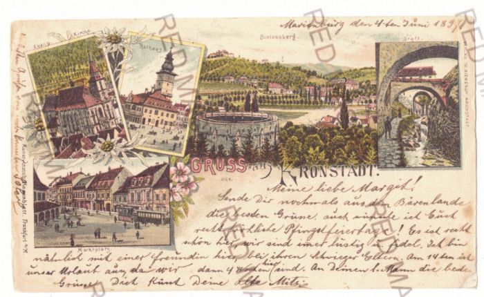 4443 - BRASOV, Litho, Romania - old postcard - used - 1897