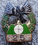 I.417 INSIGNA GERMANIA TIR VANATOARE STARNBERG 25