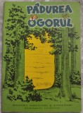 Cumpara ieftin FLORIN IORDACHESCU - PADUREA SI OGORUL (VERSURI, 1970) [DESENE DE N. CORNELIU]