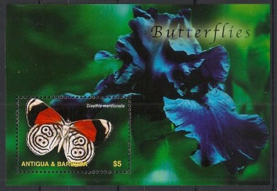 ANTIGUA 2003 FAUNA INSECTE FLUTURI foto