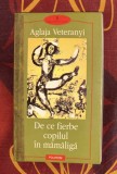 De ce fierbe copilul &icirc;n mamaliga / Aglaja Veteranyi