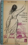Prin Parbriz Radea o Fata - Ilie Tanasache - Roman Beletristica