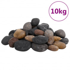 vidaXL Pietricele lustruite, 10 kg, culori mixte, 5-8 cm