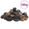 Gossi pietricele lustruite, 10 kg, culori mixte, 5-8 cm