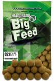 Haldorado - C21 Boilie 700g - Alune Tigrate
