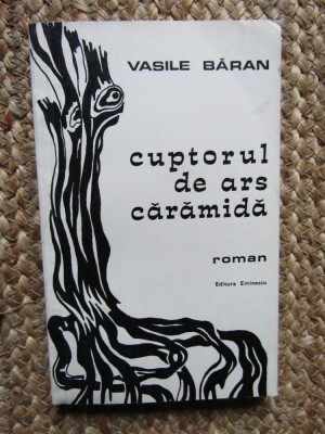 Cuptorul de ars caramida - Vasile Baran foto