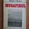 Stefan Dinica - Musafirul