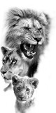 Husa Personalizata ALLVIEW V1 Viper I Lion Family