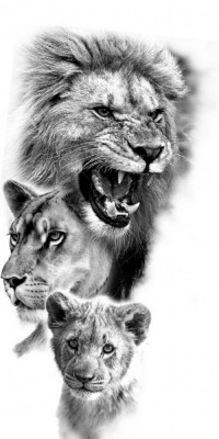 Husa Personalizata ALLVIEW V1 Viper L Lion Family foto