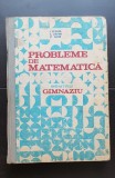 Probleme de matematică pentru gimnaziu - I. Petrică, C. Ștefan, Șt. Alexe