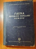 fauna republicii populare romane &quot; indrumator&quot; din anul 1951