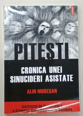 PITESTI , CRONICA UNEI SINUCIDERI ASISTATE de ALIN MURESAN , 2007 foto