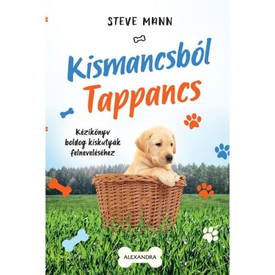 Kismancsb&amp;oacute;l Tappancs - Steve Mann foto