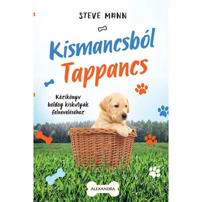 Kismancsb&oacute;l Tappancs - Steve Mann