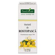 Tinctura Rostopasca 50ml PlantExtrakt Cod: PLAX.00183 foto