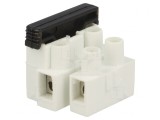 Regletă de Conexiuni Terminal cu Șurub 2,5mm2 450V 2 Piste