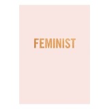 Cumpara ieftin Feminist Journal