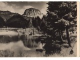 CPIB 22761 - CARTE POSTALA - LACUL ROSU, VEDERE SPRE SUHARD, RPR, NECIRCULATA
