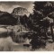 CPIB 22761 - CARTE POSTALA - LACUL ROSU, VEDERE SPRE SUHARD, RPR, NECIRCULATA