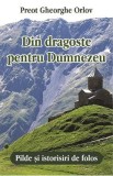 Din dragoste pentru Dumnezeu. Pilde si istorisiri de folos - Gheorghe Orlov