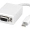 Convertor DisplayPort 1.1a Alb
