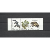 SERBIA 2023 FAUNA REPTILE BROASTE