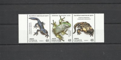 SERBIA 2023 FAUNA REPTILE BROASTE foto