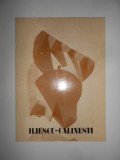 Gheorghe Iliescu-Calinesti - Sculptura - Desen. Album (1983, Sala Dalles)