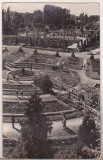 bnk cp Timisoara - Vedere din parc - uzata