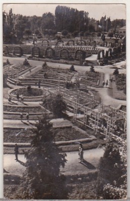 bnk cp Timisoara - Vedere din parc - uzata foto