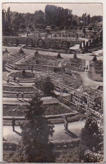 bnk cp Timisoara - Vedere din parc - uzata