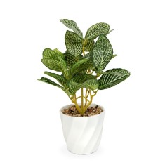 Planta artificiala decorativa - Fittonia - 20 x 9 cm Best CarHome