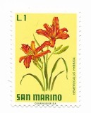 San Marino - Flori, 1971 - 1 L, neobliterat