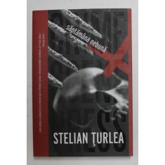 SAPTAMANA NEBUNA de STELIAN TURLEA , 2016