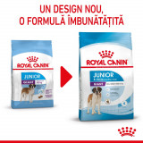 Royal Canin Giant Junior hrană uscată c&acirc;ine junior etapa 2 de creștere, 3.5kg