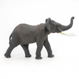 Figurina - Wild Animal Kingdom - Elephant | Papo