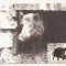 CA13-Carte Postala-Porc Mistret , Sus Scrofa, necirculata 1976