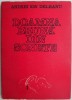 Doamna Bruna din Sonete - Andrei Ion Deleanu - Studii Literare, Critica Literara