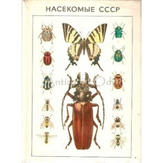 Insectele Republicii Ruse - G. N. Gornostaev