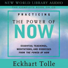 Practicing the Power of Now: Essentials Teachings, Meditations, and Exercises from the Power of Now