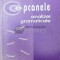 Capcanele analizei gramaticale - 2000 - Stefan M. Ilinca ($V62)