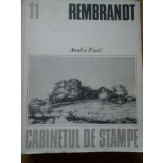 Rembrandt - Amelia Pavel ,293562