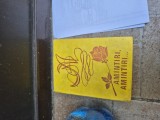 Amintiri, amintiri vintage