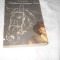 D.H. Lawrence - Armasarul doamnei Lou,1991