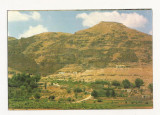 FA44-Carte Postala- ISRAEL - Jericho, mount of Temptation, necirculata
