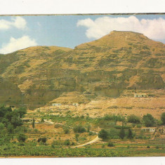 FA44-Carte Postala- ISRAEL - Jericho, mount of Temptation, necirculata