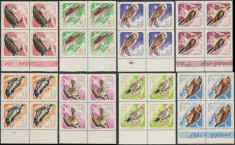 1967 Romania - Pasari de prada, blocuri de 4 timbre margini de coala, LP 643 MNH foto