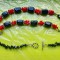 F254-Set dama ONIX negru montura argintata marcata 925.