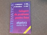 10/2 CONSTATIN NASTASESCU CULEGERE DE PROBLEME PENTRU LICEU ED 2004